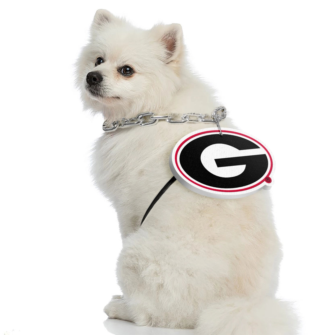 GA Bulldogs Pet Fan Chain