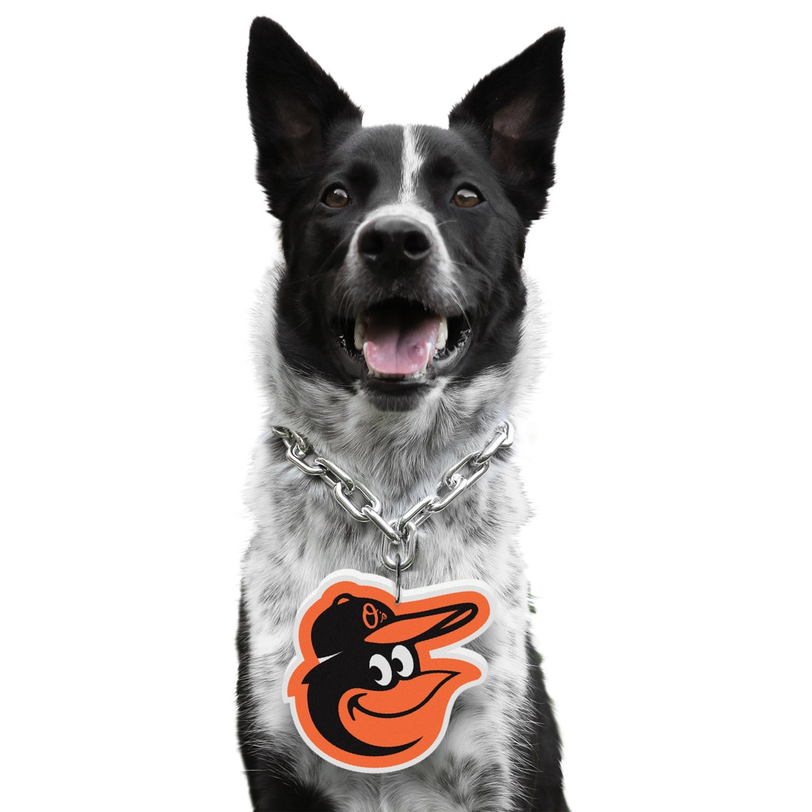 Baltimore Orioles Pet Fan Chain