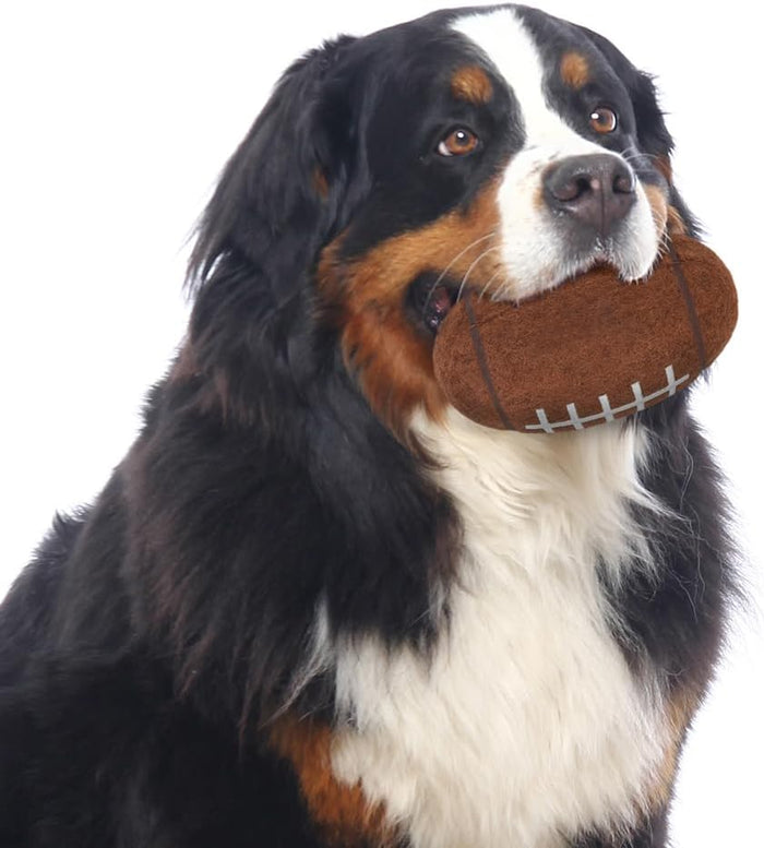 Cleveland Browns Tough Chewer Ball Toy