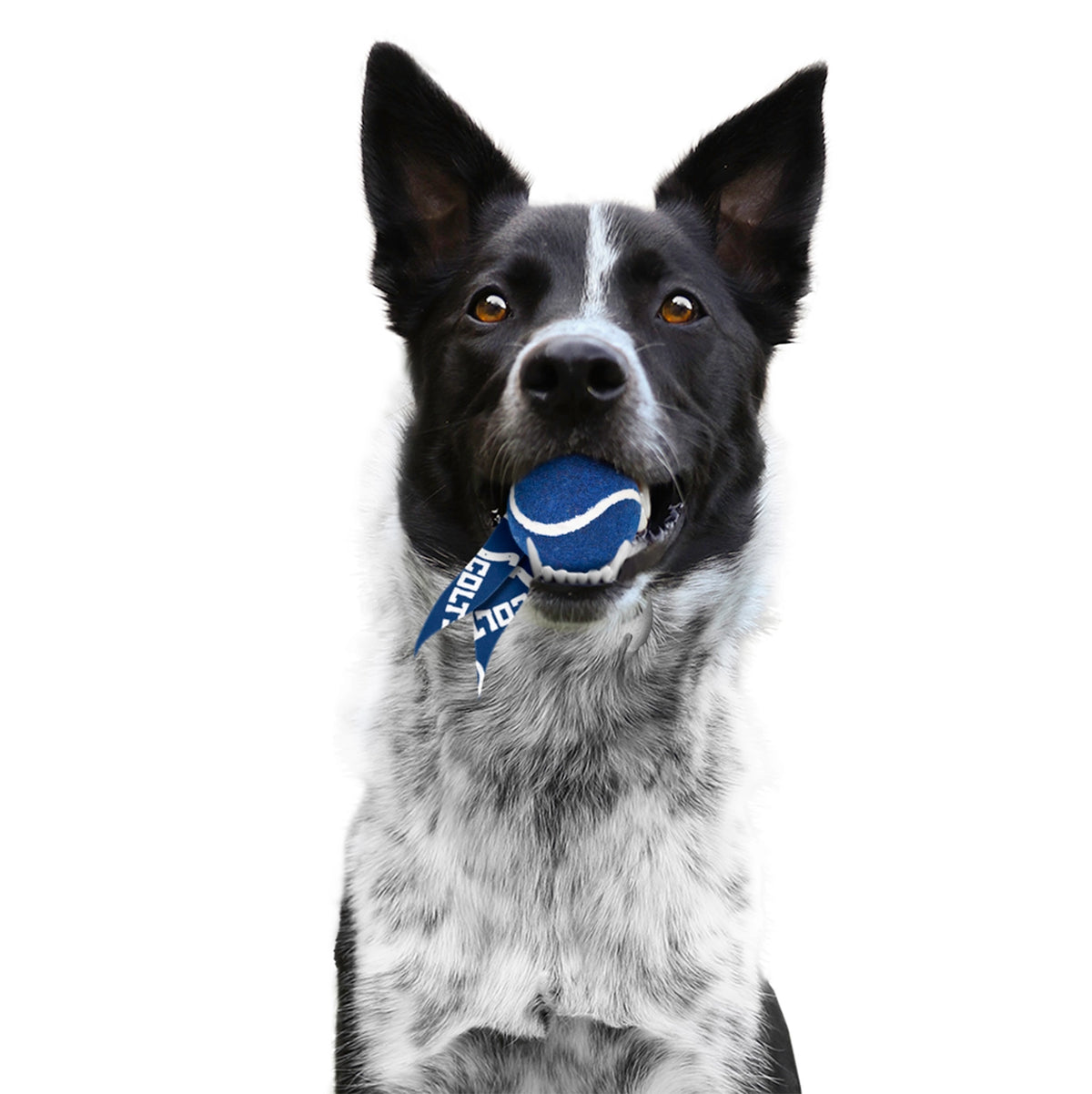 Indianapolis Colts Pet Ball Launcher Toy