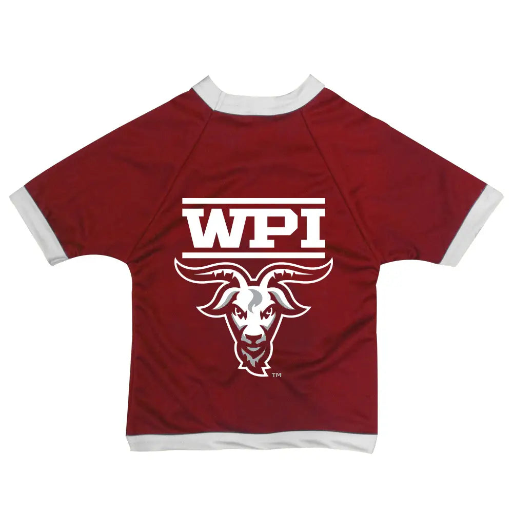 Worcester Polytechnic Institute Goats Pet Mesh Shirt