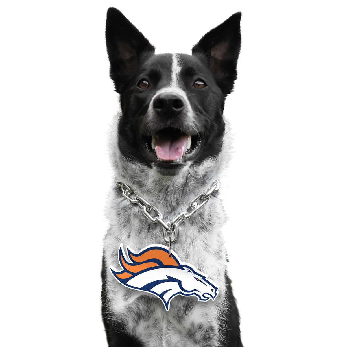 Denver Broncos Pet Fan Chain