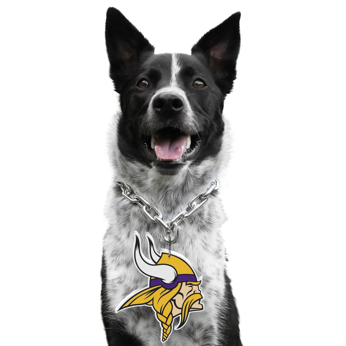 Minnesota Vikings Pet Fan Chain