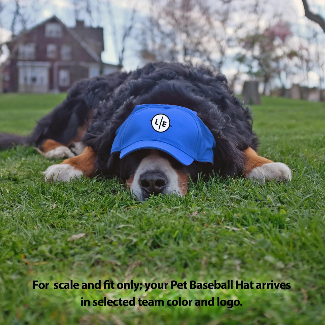 Chicago Cubs Pet Baseball Hat