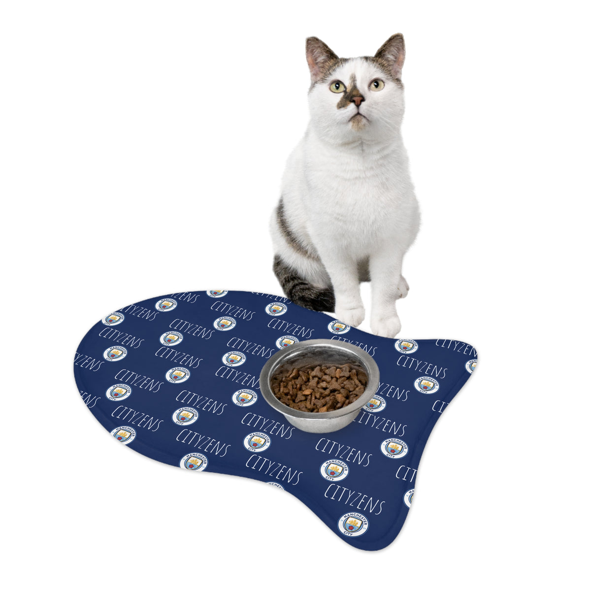 Manchester City FC 24/25 Kit Inspired Pet Feeding Mats