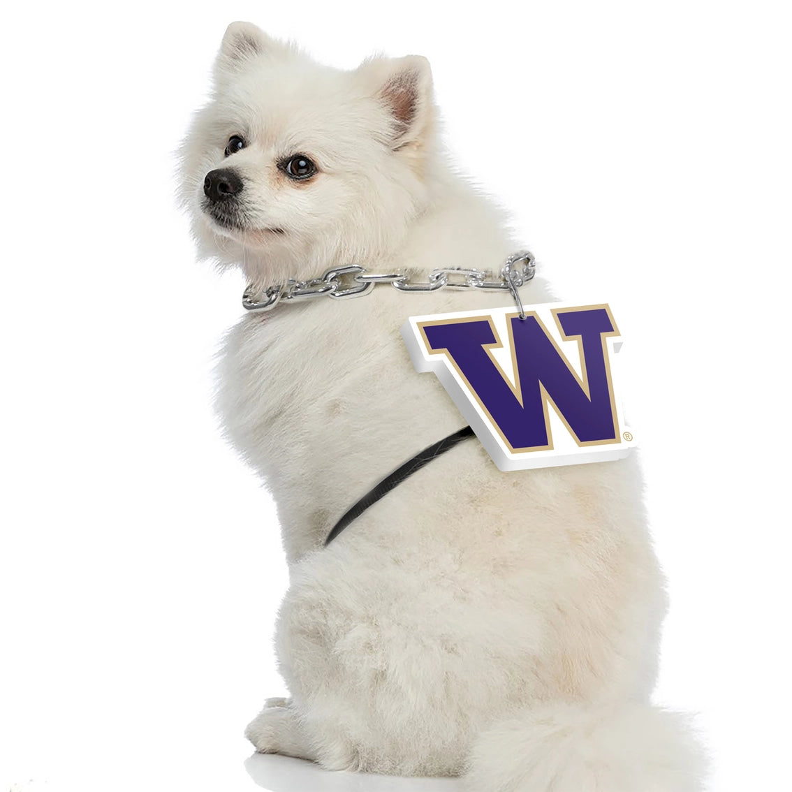 WA Huskies Pet Fan Chain