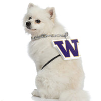 WA Huskies Pet Fan Chain