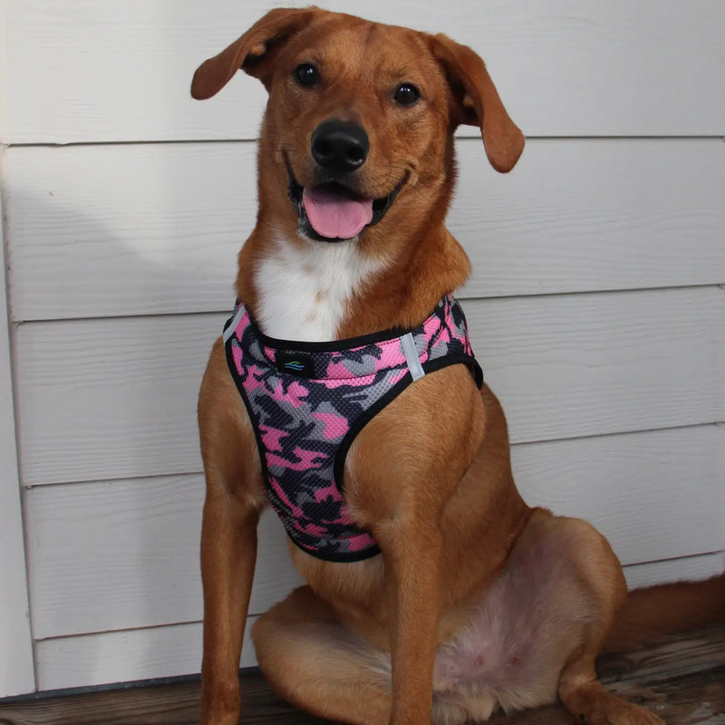 American River Choke Free Dog Harness™ Pink Camo