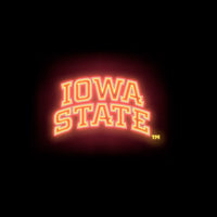 IA State Cyclones Neon Tee Shirt