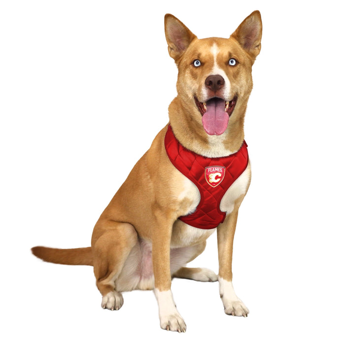 Calgary Flames Velvet Harness