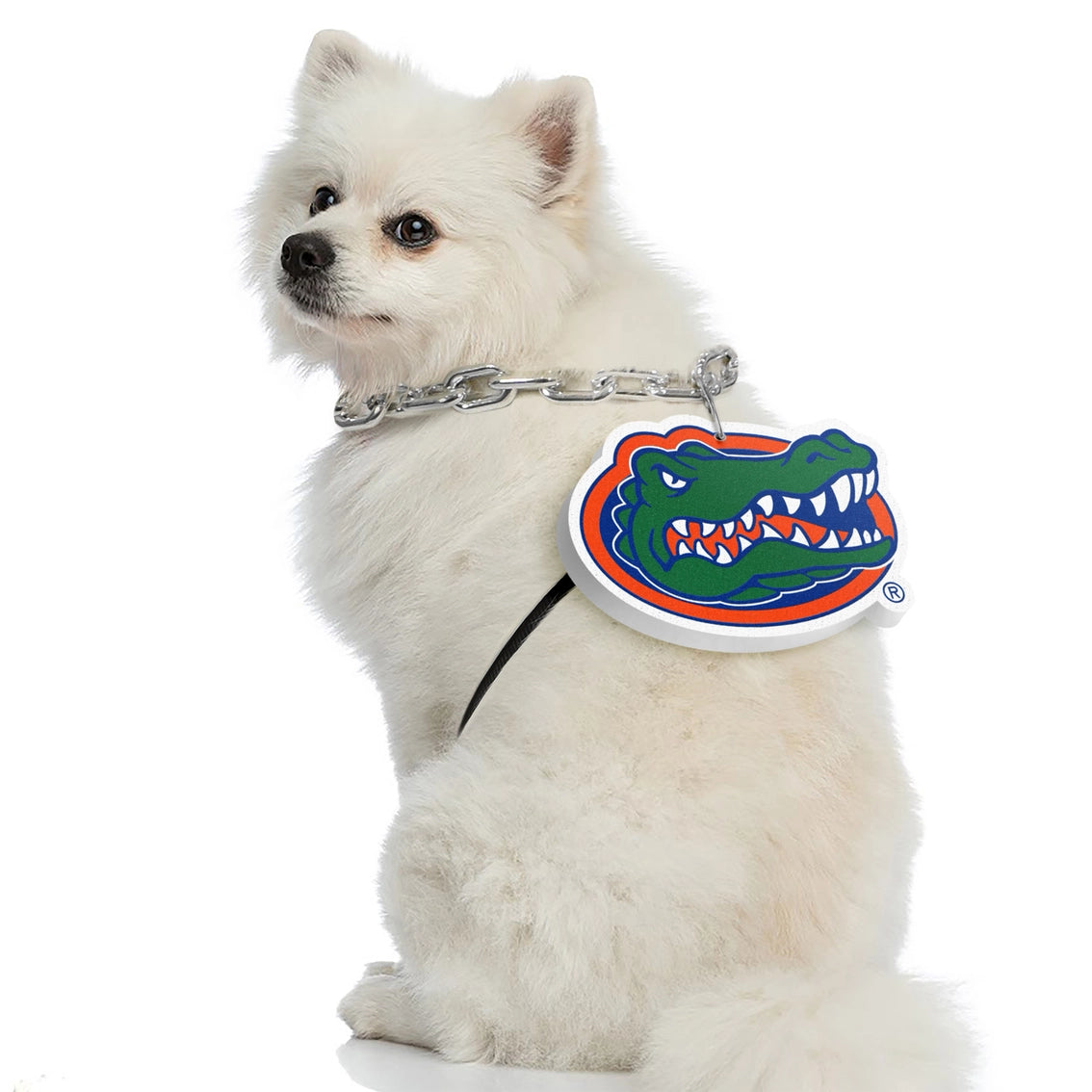 FL Gators Pet Fan Chain