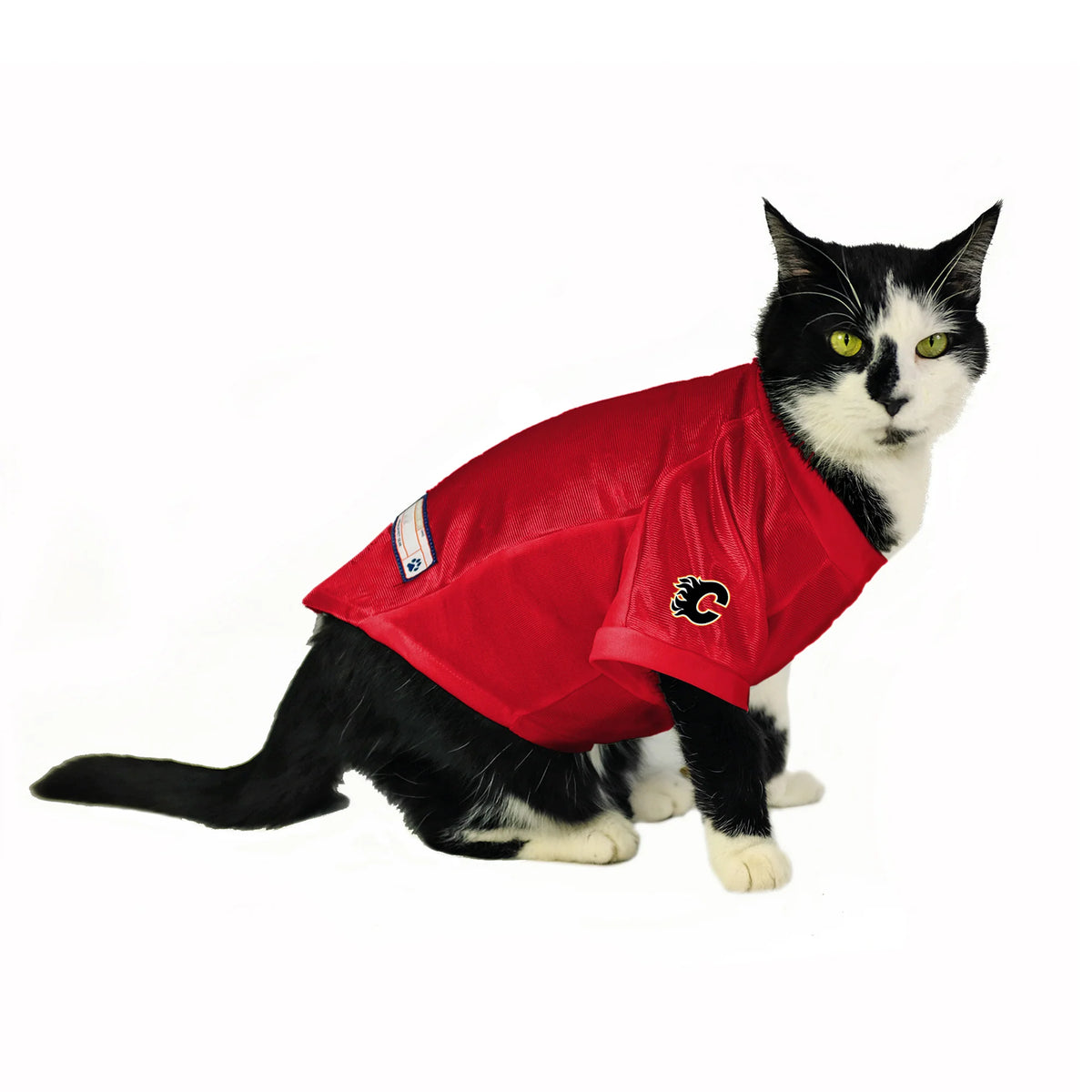 Calgary Flames Cat Jersey 3 Red Rovers