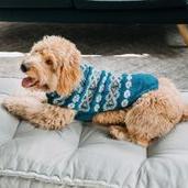 Alpaca Teal Fair Isle Sweater