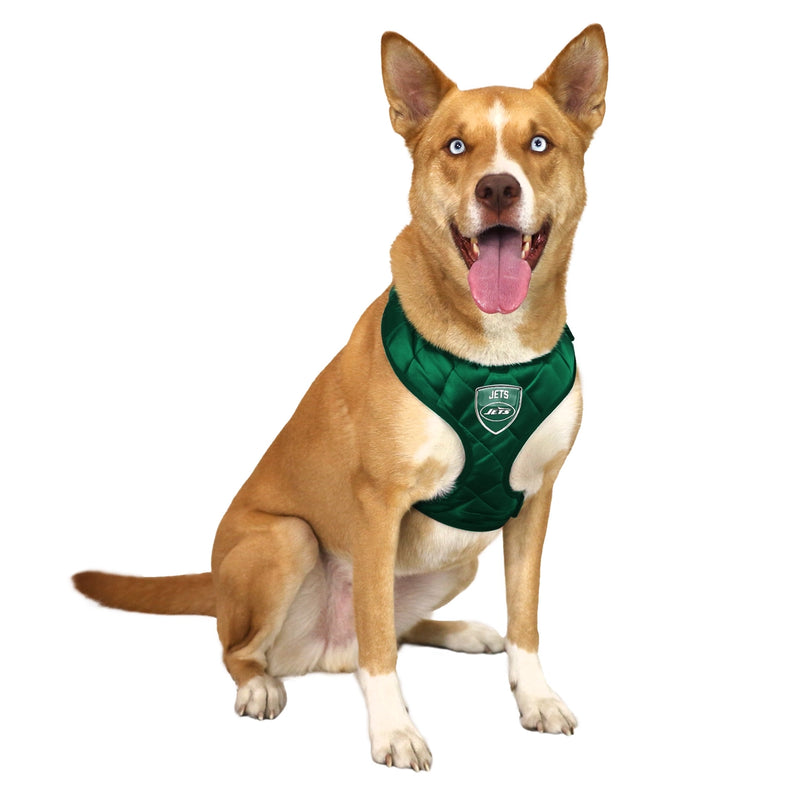 New York Jets Velvet Harness