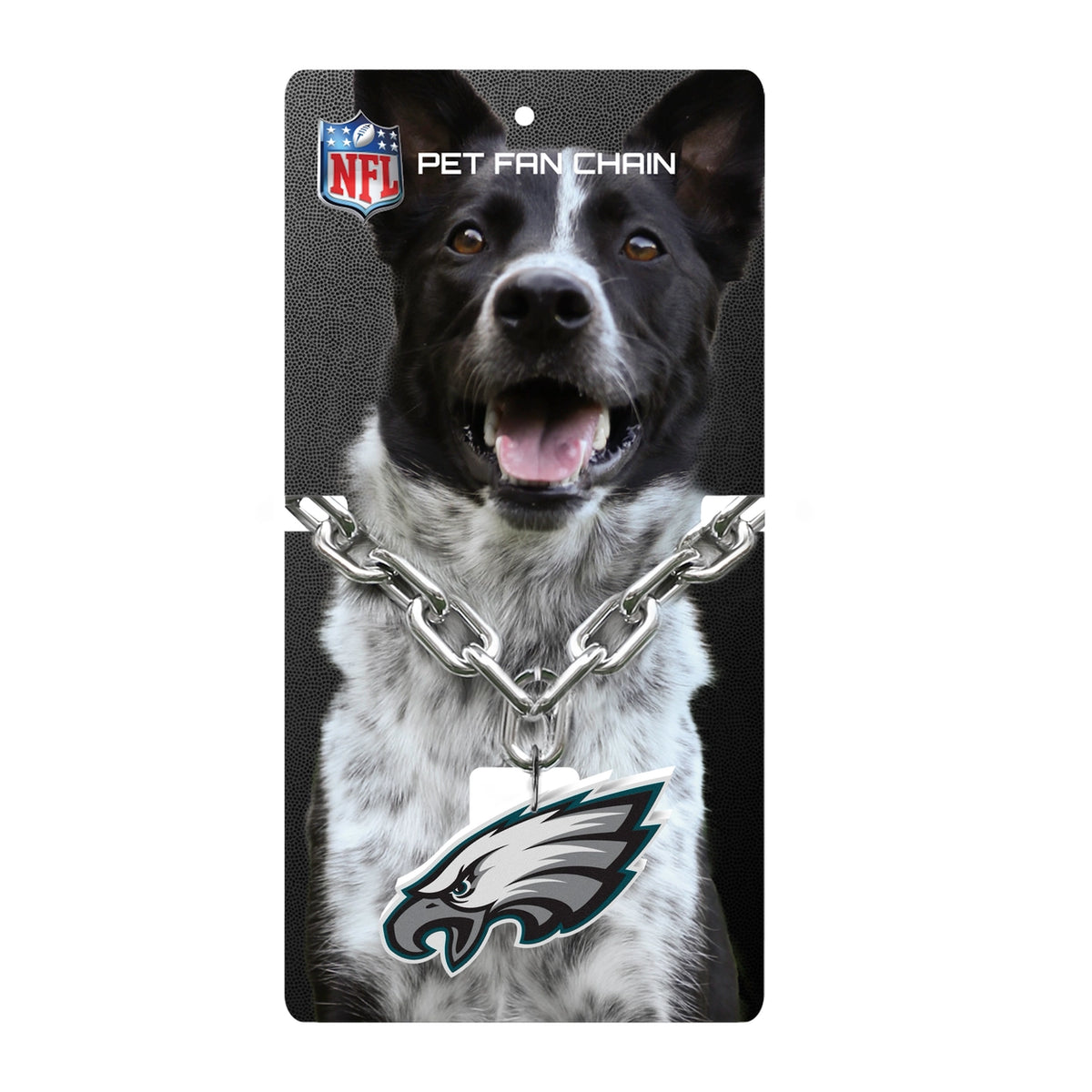 Philadelphia Eagles Pet Fan Chain