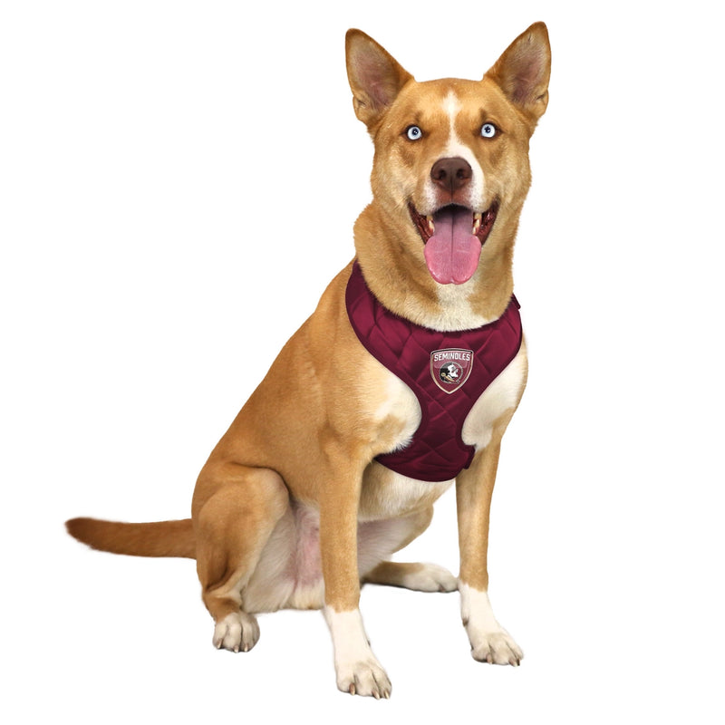 FL State Seminoles Velvet Harness