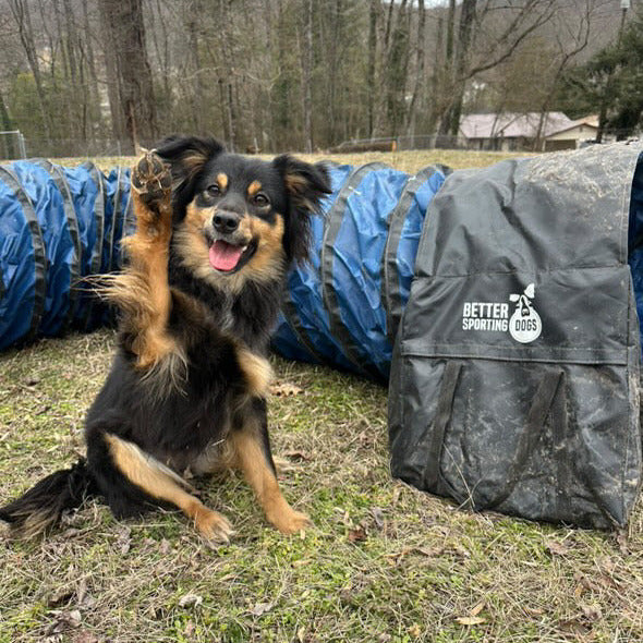 Better Sporting Dogs Heavy Duty Dog Agility Tunnel – 16 ft PVC Training Tunnel with Sandbags