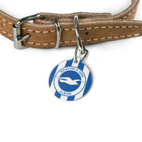 Brighton & Hove Albion FC 25/26 Home Kit-Inspired ID Tag