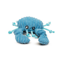 Raw Bar Wee Huggles® Plush Dog Toys, 3 pack