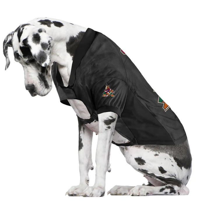 AZ Coyotes Big Dog Stretch Jersey