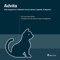 VetOne Advita Probiotic Powder Nutritional Supplement for Cats, 1gm