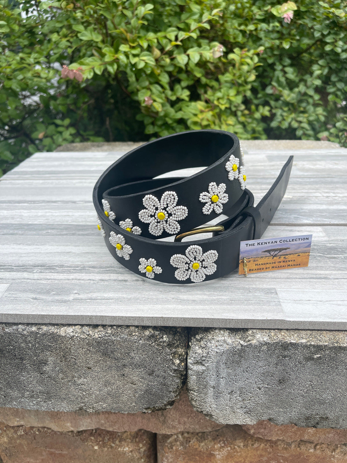 TKC Daisies Beaded Dog Collar