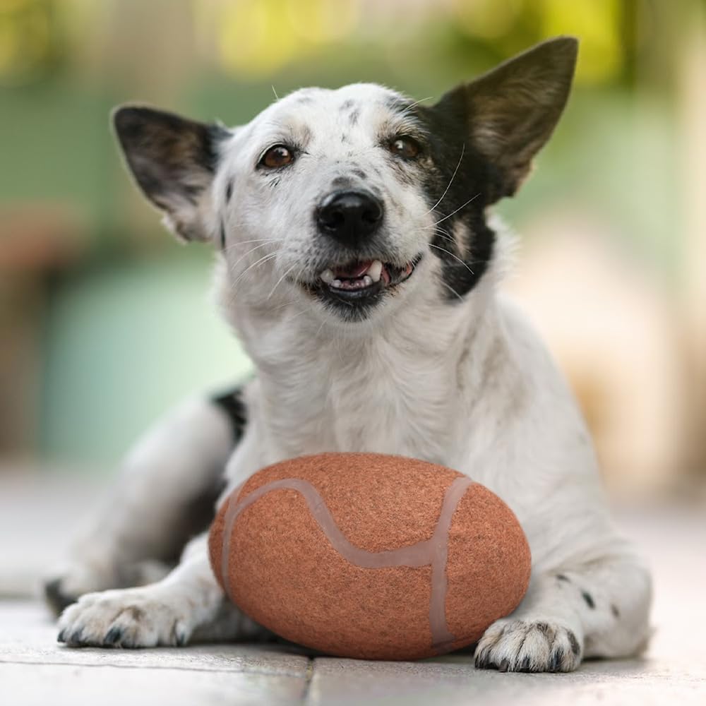 Seattle Seahawks Tough Chewer Ball Toy