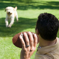 Seattle Seahawks Tough Chewer Ball Toy