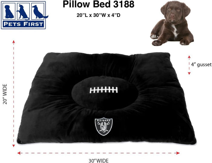 Las Vegas Raiders Pet Mat