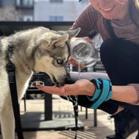 Ripstop Wrist Band Surfer Leash