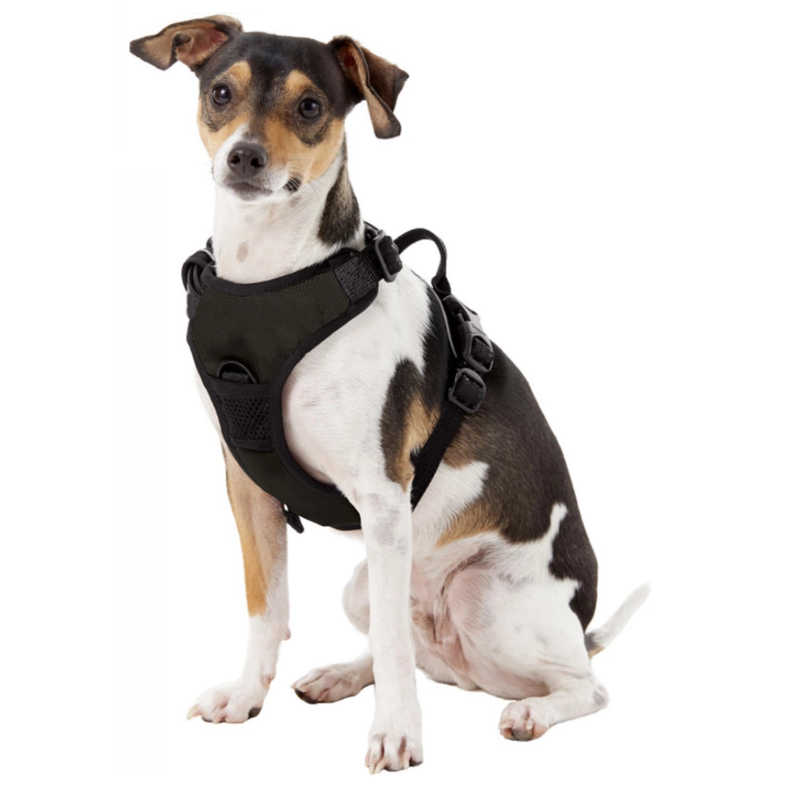 San Diego Padres Front Clip Harness