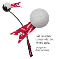 WI Badgers Pet Ball Launcher Toy