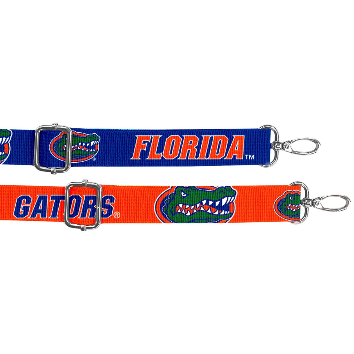 FL Gators Clear Satchalette