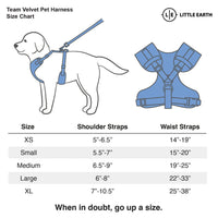 Detroit Lions Velvet Harness