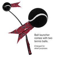 SC Fighting Gamecocks Pet Ball Launcher Toy