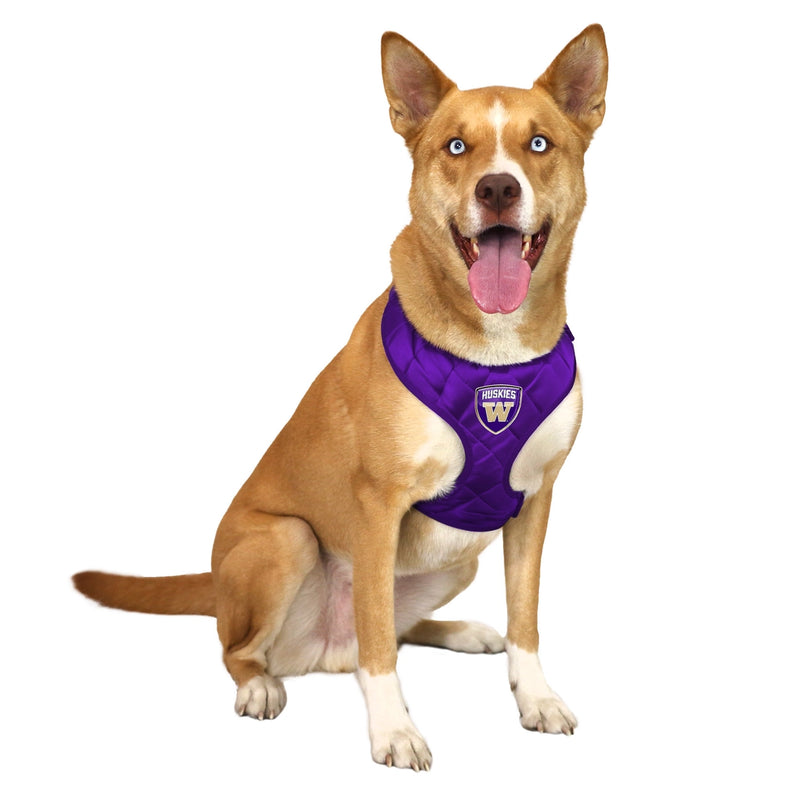 WA Huskies Velvet Harness