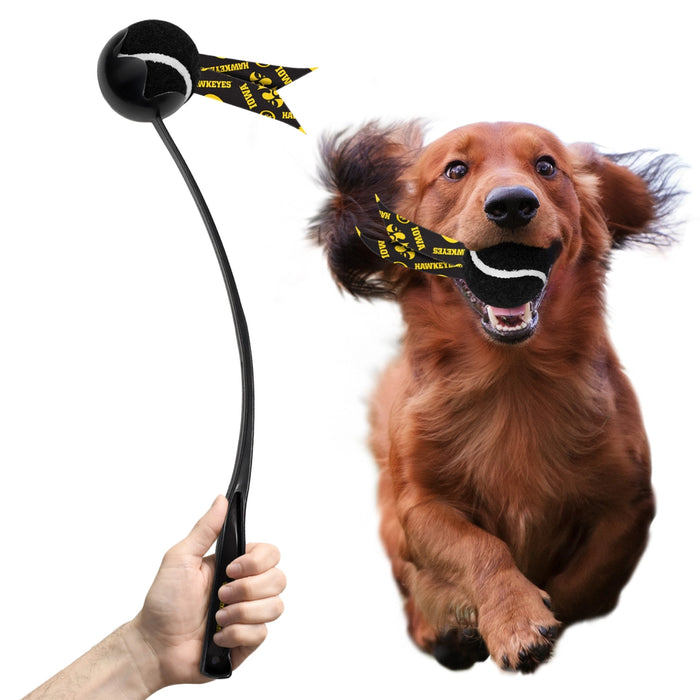 IA Hawkeyes Pet Ball Launcher Toy