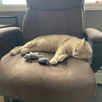 HuggleKats® Wee Squooshie™ Mice Cat Toys, 2 Pack