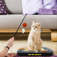 IA Hawkeyes Football Cat Scratcher Toy
