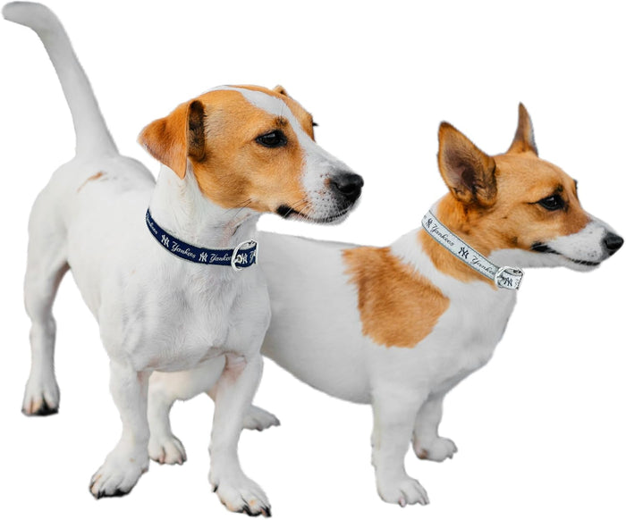 New York Yankees Reversible Dog Collar