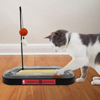 Toronto Raptors Basketball Cat Scratcher Toy