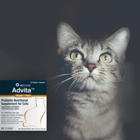 VetOne Advita Probiotic Powder Nutritional Supplement for Cats, 1gm