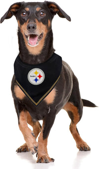 Pittsburgh Steelers Tie-On Bandana