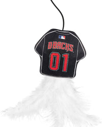 AZ Diamondbacks Team Jersey Wand with Cat Nip