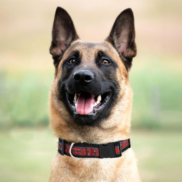 Tampa Bay Buccaneers Dog Satin Collar or Leash