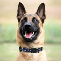 Baltimore Ravens Dog Satin Collar or Leash