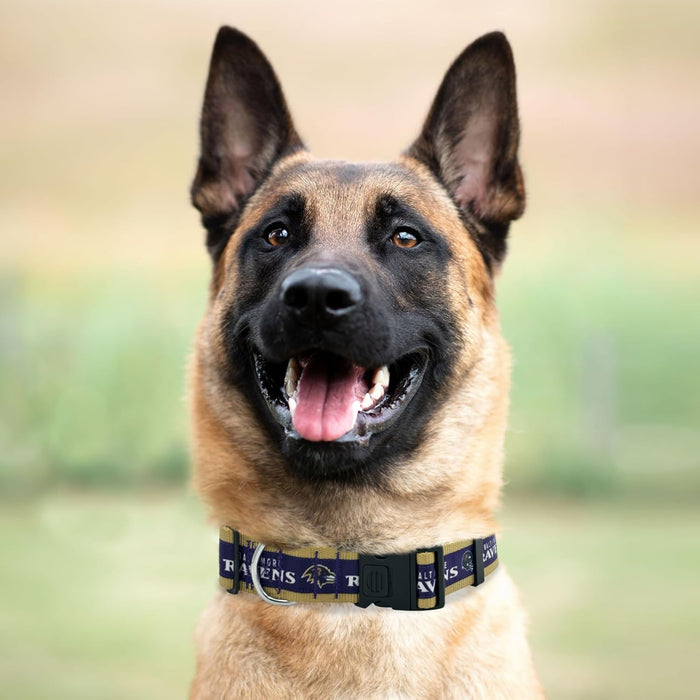 Baltimore Ravens Dog Satin Collar or Leash