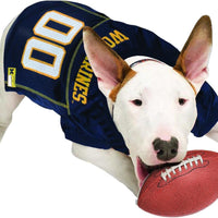 MI Wolverines Pet Jersey - XLARGE