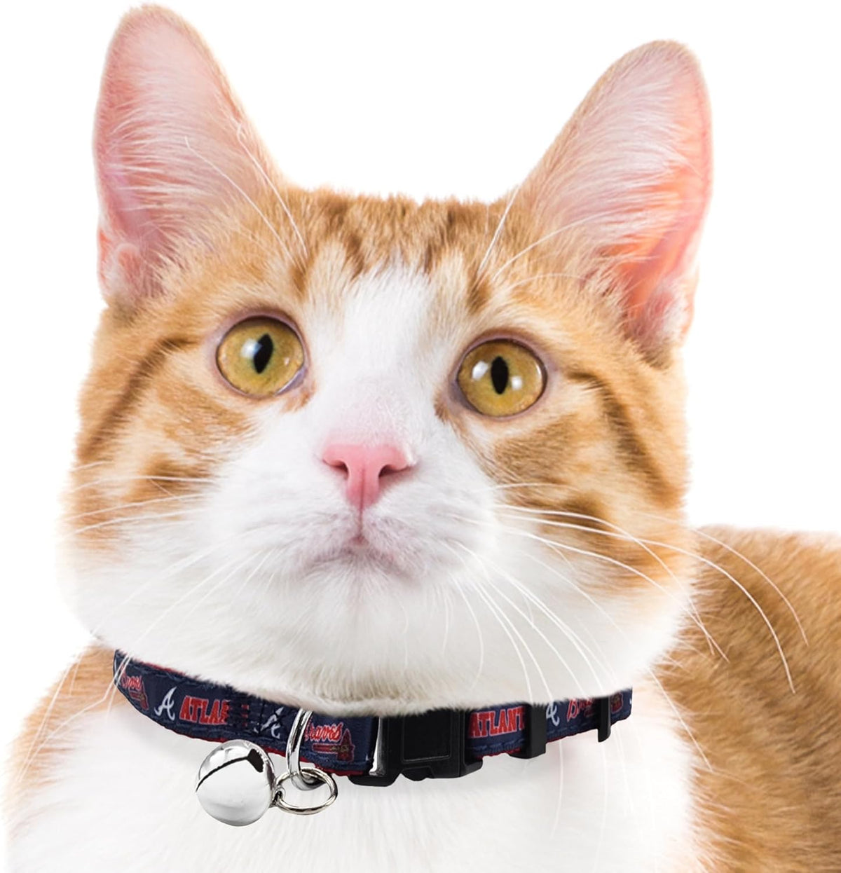 Atlanta Braves Cat Satin Collar