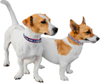 Chicago Cubs Reversible Dog Collar